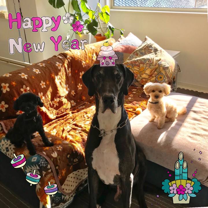 F72accf9 7181 4044 af77 793bcc6863d9 1514768347524