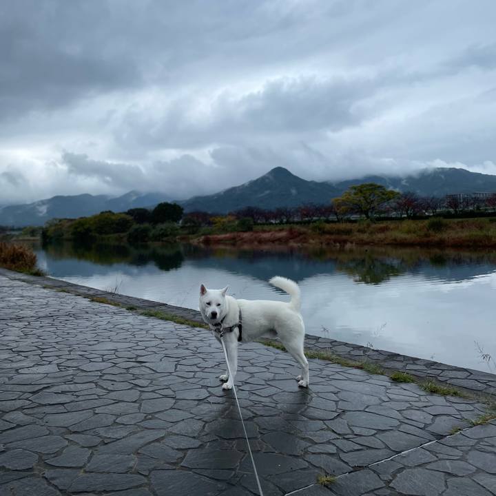 F72acd8f 1feb 4f1b b57f 8a83013e5116 1669171934220