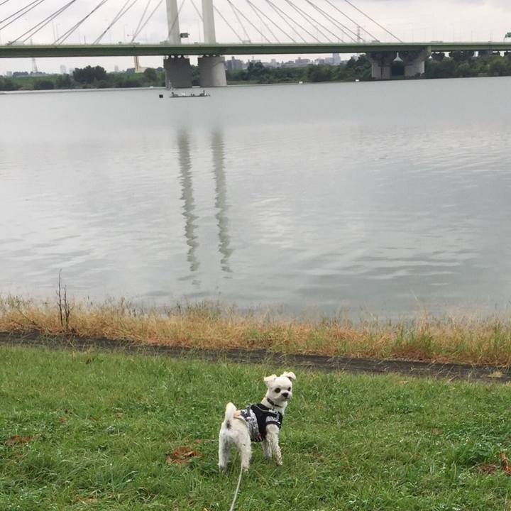 F72ad7af 622d 4185 9ba3 3dcf71f6b30c 1507985472385