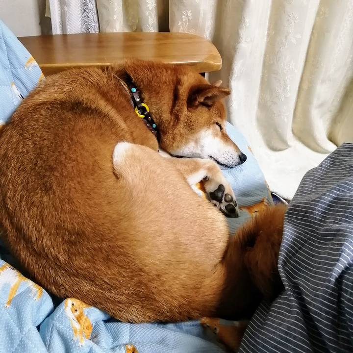 F72b1dda ba86 40e3 ab0d cc5ab5a2cdc5 1620905933589