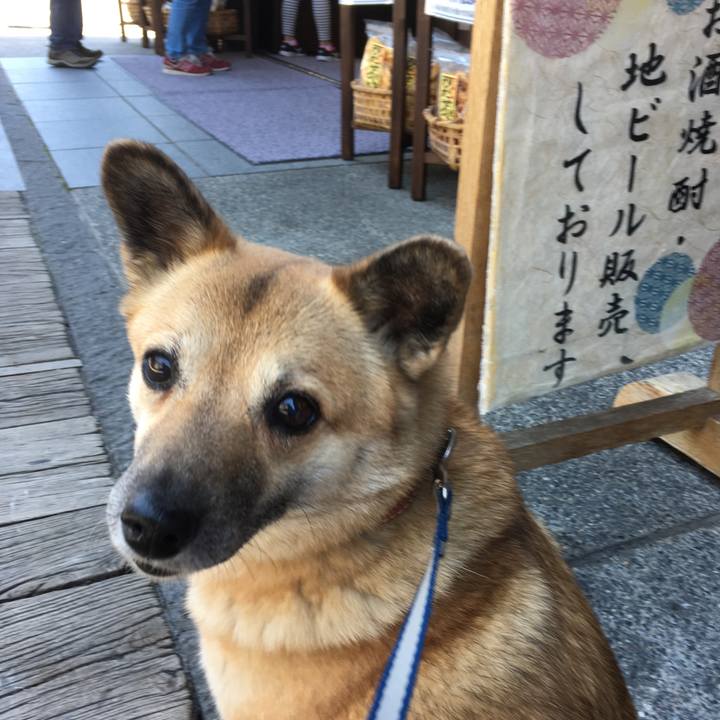 F72b2e62 5253 428d 9a5e 1bccf9ae29e9 1524987304252