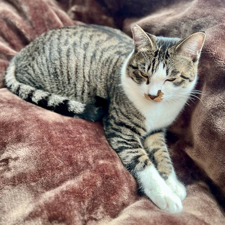 F72b3762 a0f2 47e7 ace1 d05cd9b02632 1763217334697