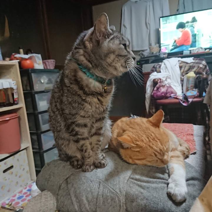 F72b4ed3 f0c5 48c3 bd58 4f3f453e7bdc 1607206297565