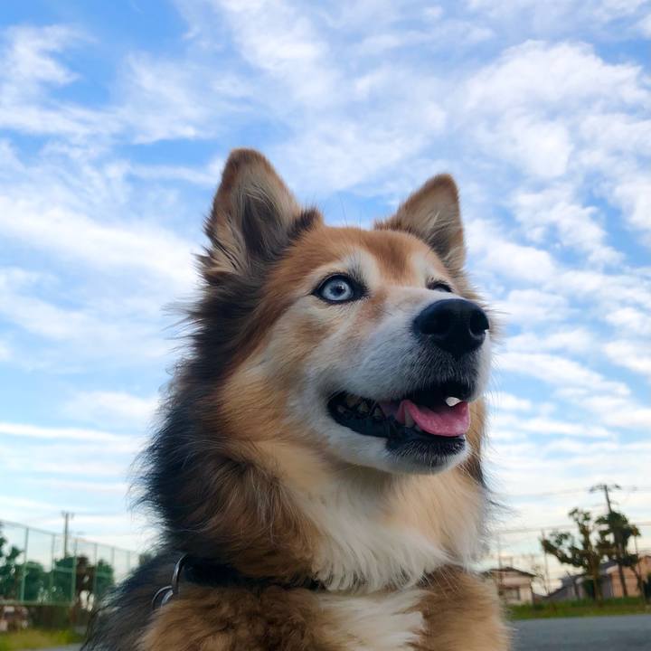 F72b538a a859 4523 a601 4e2671430cb6 1635088561677