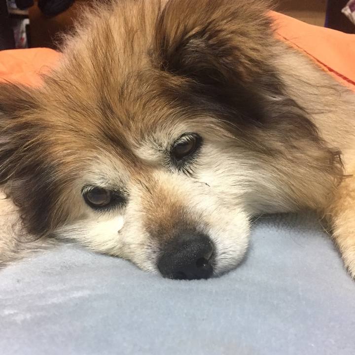 F72b7f78 6d45 4b25 b039 70bbc9e167b4 1561944809086