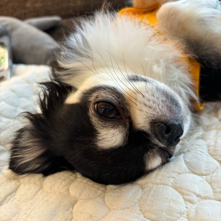 F72b9fd8 f332 4e3b 9f10 3e58eb36f46b 1731774049706