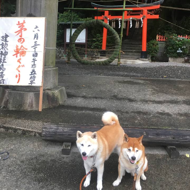 F72baaae a617 4fb4 bc18 5b4036b4481b 1530224821586