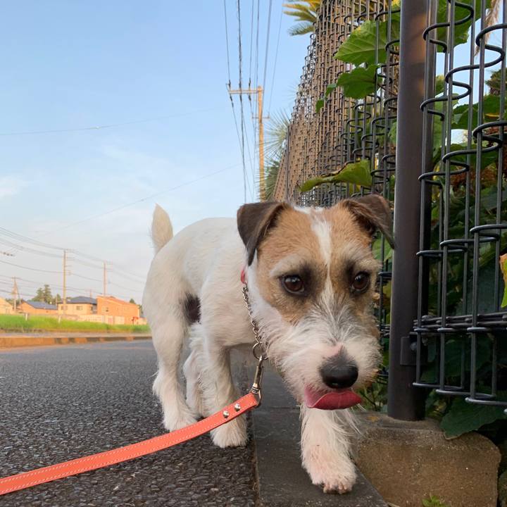 F72bbb70 1d8b 42ca 8c36 6e63feacf23f 1597546012426