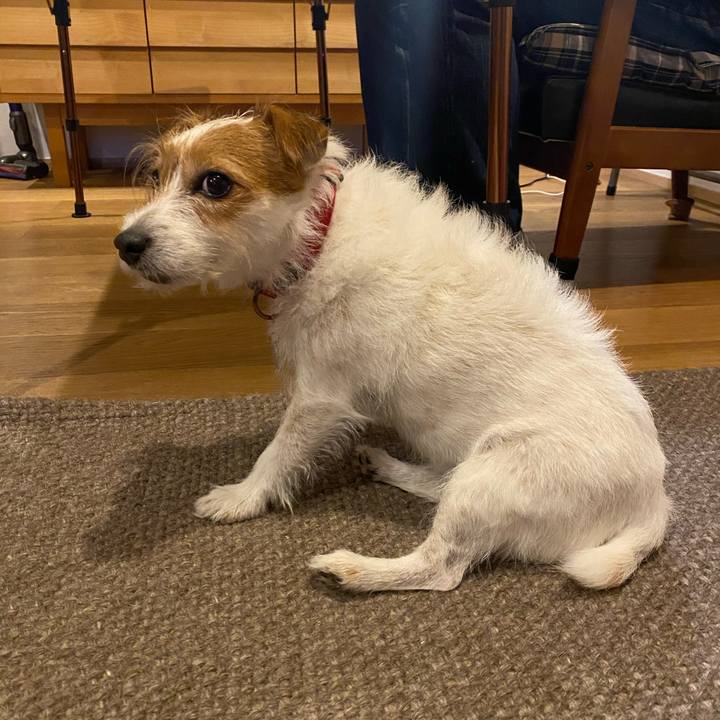 F72be3fd 7619 4413 b968 5a90ce667f58 1603109584540