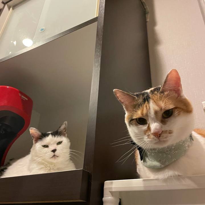 F72c0a13 e829 4f6b 91b8 c66938642974 1663198590914