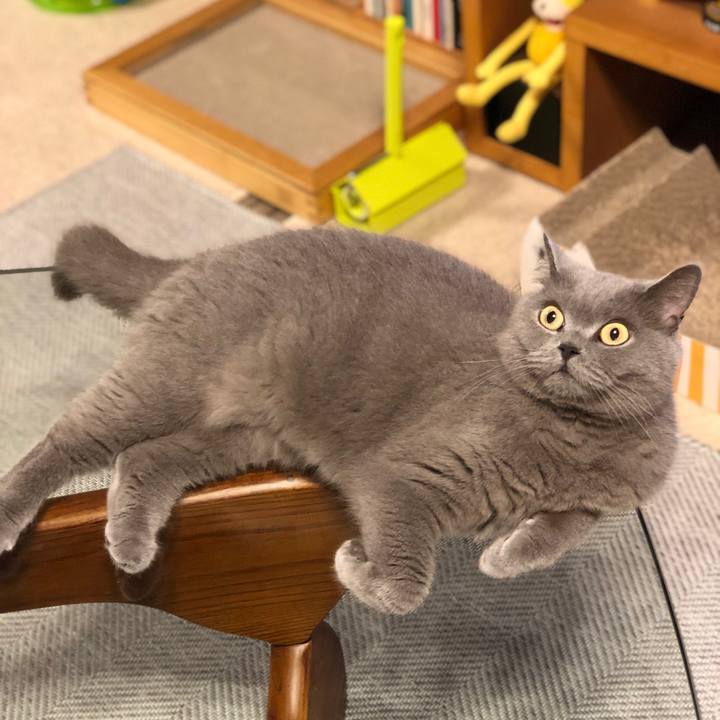 F72c1c77 b3dc 4947 91d7 67c868d03151 1561893716699