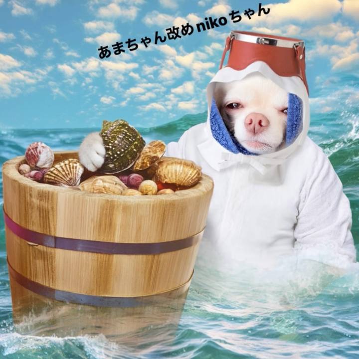 F72c2f34 96e7 45e0 8ff9 47176eed3437 1716717983945