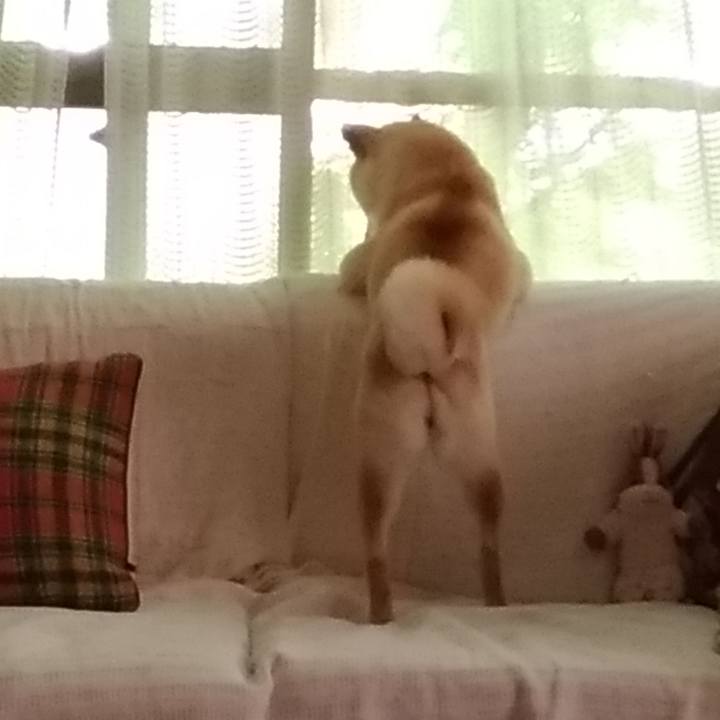 F72c44dd fd84 4f92 93b6 307b7269ebf6 1526958498090