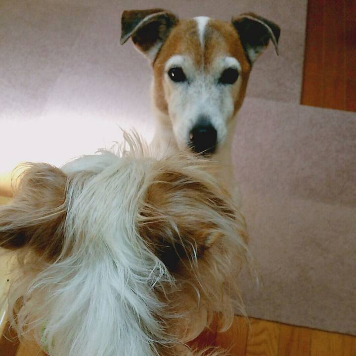 F72c4d85 7b30 4ced afd2 098ea983d7a0 1518317480877