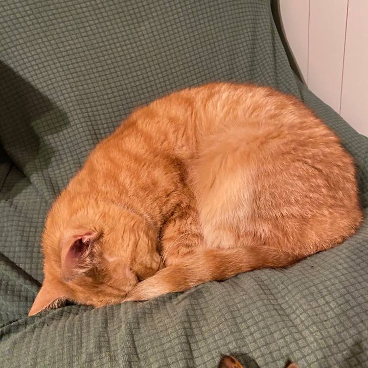 F72c6784 ed6d 4c9d a717 a0f16b529f61 1577877872236