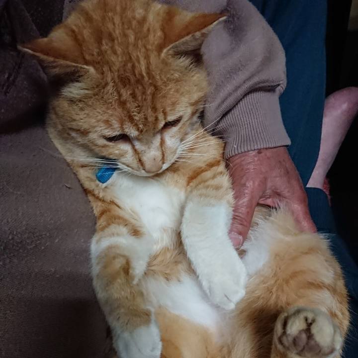 F72cc0f2 9768 4fc8 ac8c 83dd8ef902f3 1556572396112