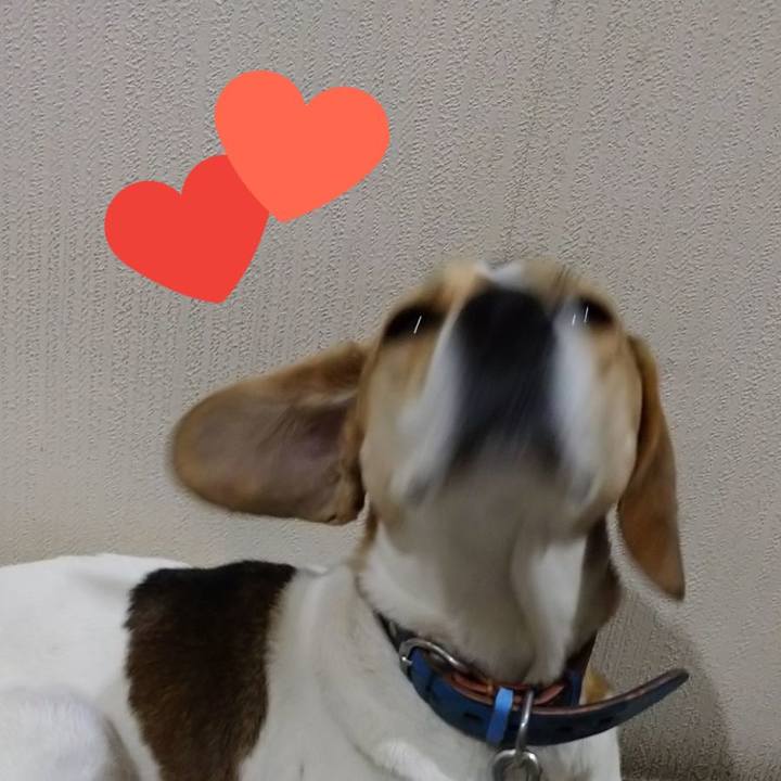 F72cea24 cea9 413d 8042 3217d1010d23 1611492203355