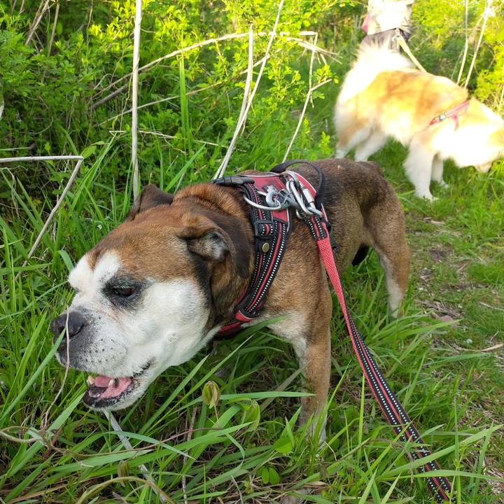 F72cee60 dfbf 4a0d 812d 358c3bfdf550 1650375401341