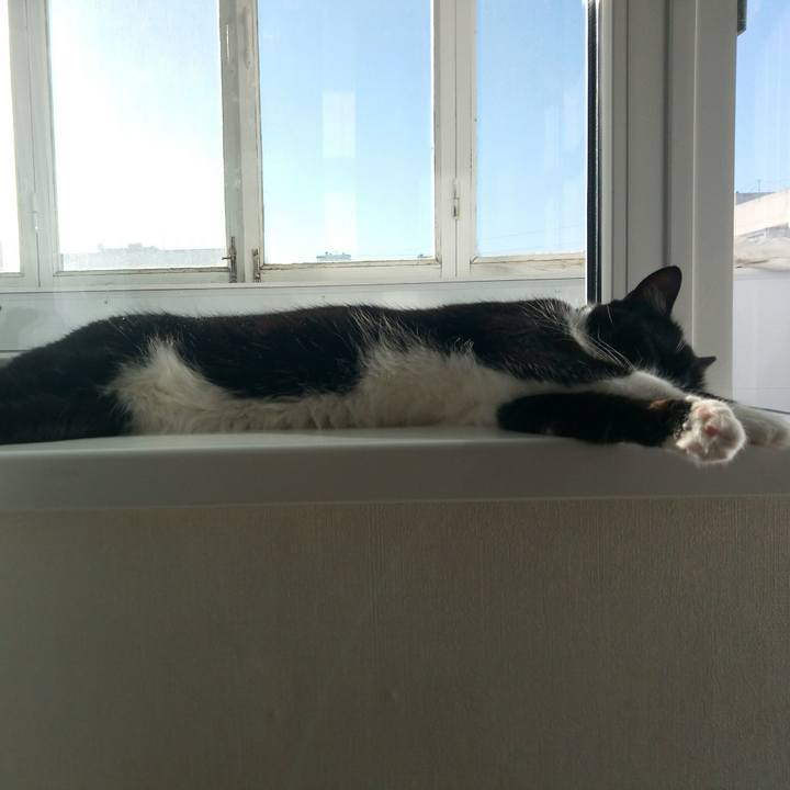 F72cf5ef 8b1d 4c8f a8b5 75285fa221c8 1525013549237