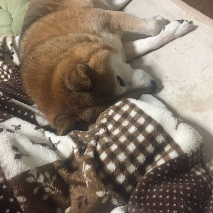 F72d0e07 5f6b 4c00 9d73 00a90fbacd8a 1516074740263