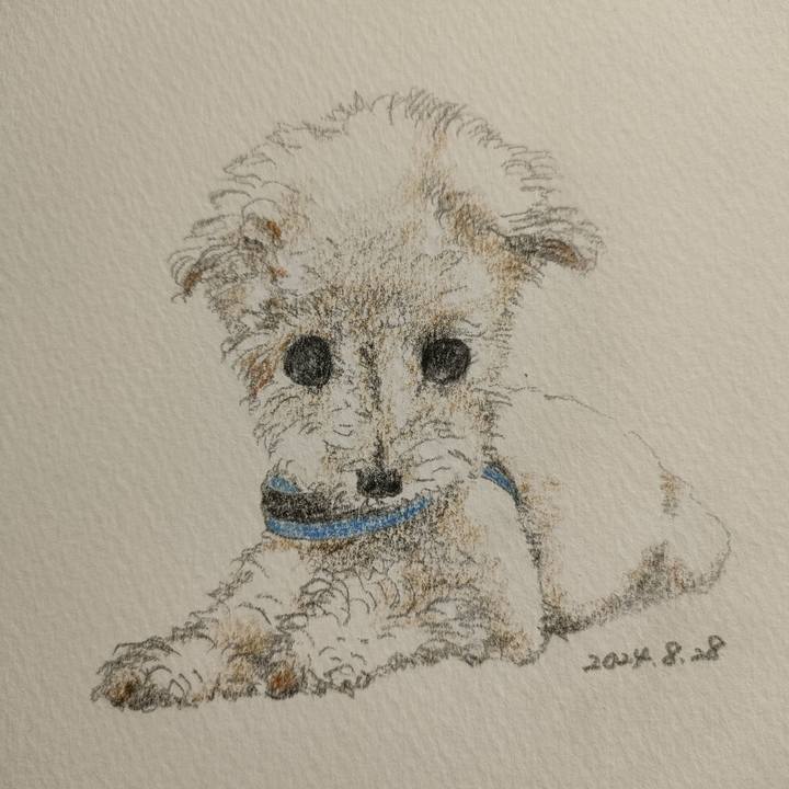 F72d1686 8d55 4e9b 9d4c 04d8eadc9090 1724836400355