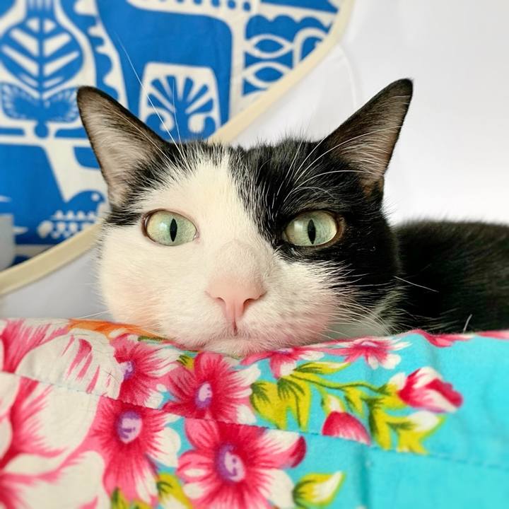 F72d18f2 9e16 4def a80b a0efc0656ce2 1585884708584