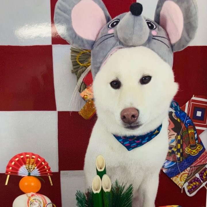 F72d30a9 819f 42e1 82c0 25bacba62827 1577837304307