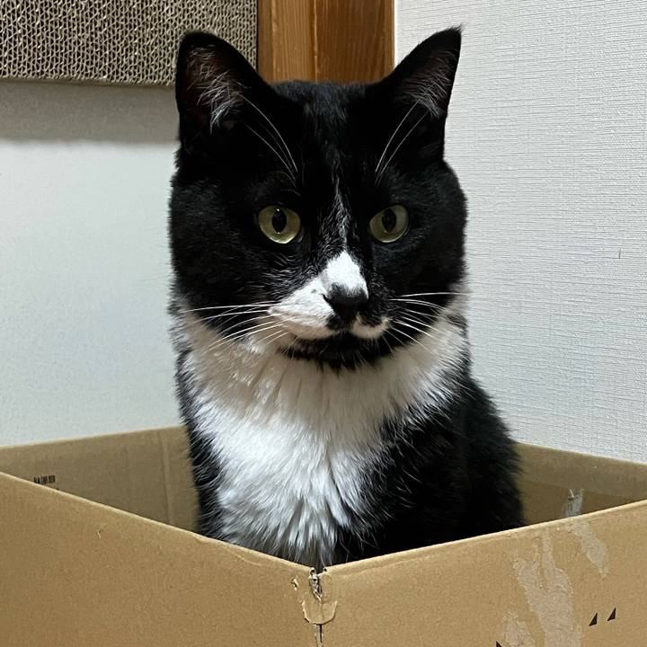 F72d595b 59f6 48bb b229 823ad0380468 1755838052112