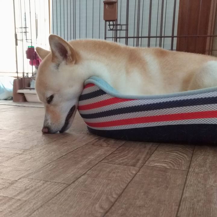 F72d6835 6799 41ab af83 7ee1e176931a 1533709543967