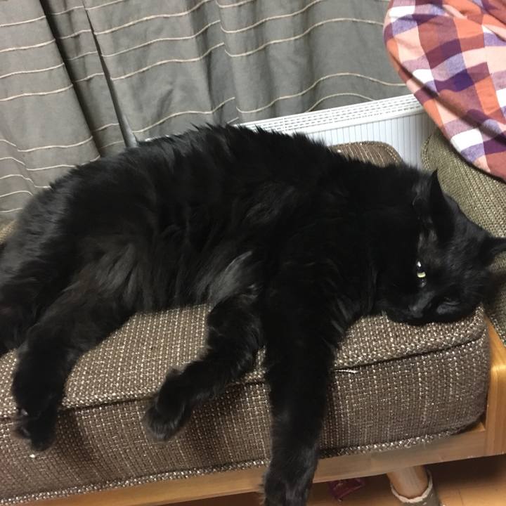 F72d70c0 e077 408c a9ad b953cba757c9 1527256016099