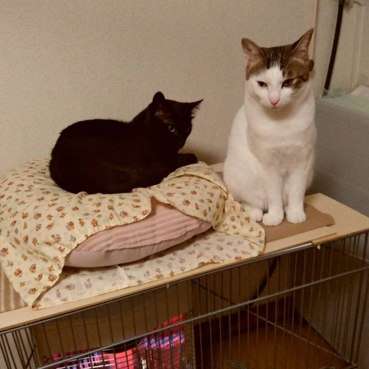 F72d7c97 0693 4c67 9642 db822969f4a1 1669461816371