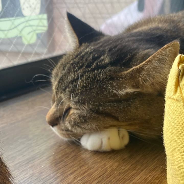 F72d8291 d3ea 4112 8c89 b4eb23e2e5af 1642734831419