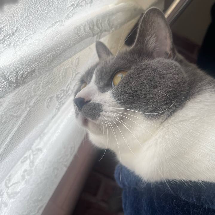 F72d97e3 9f3a 4388 9364 3c47da35b9b9 1694046027211