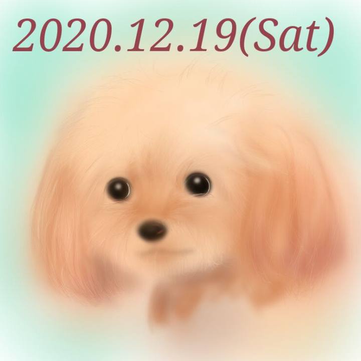 F72d9c09 39e8 4258 a28e eb47cff54141 1608389016161