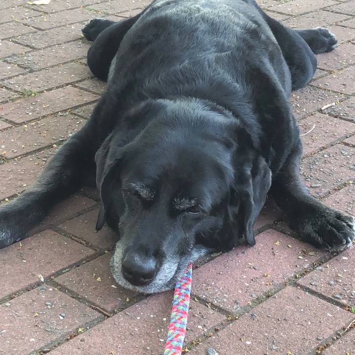 F72da304 87d6 462b bbb1 31c375897ed4 1589181463970