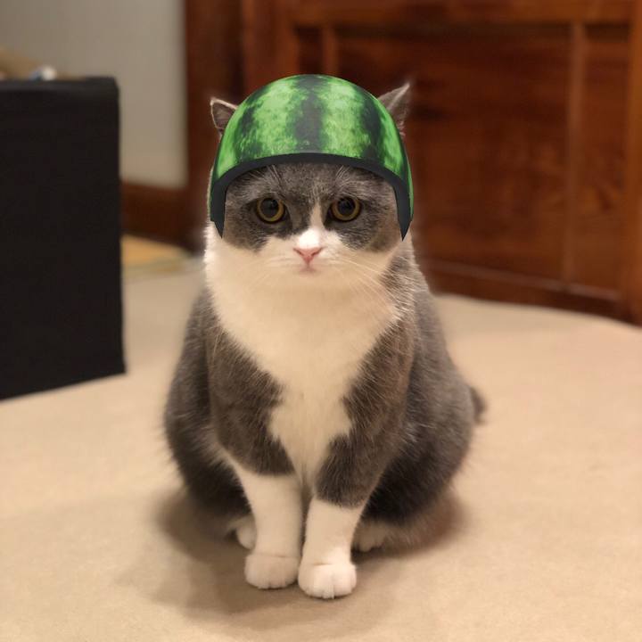 F72dcc80 765c 4af6 8f7c c1164dacf230 1563251638896