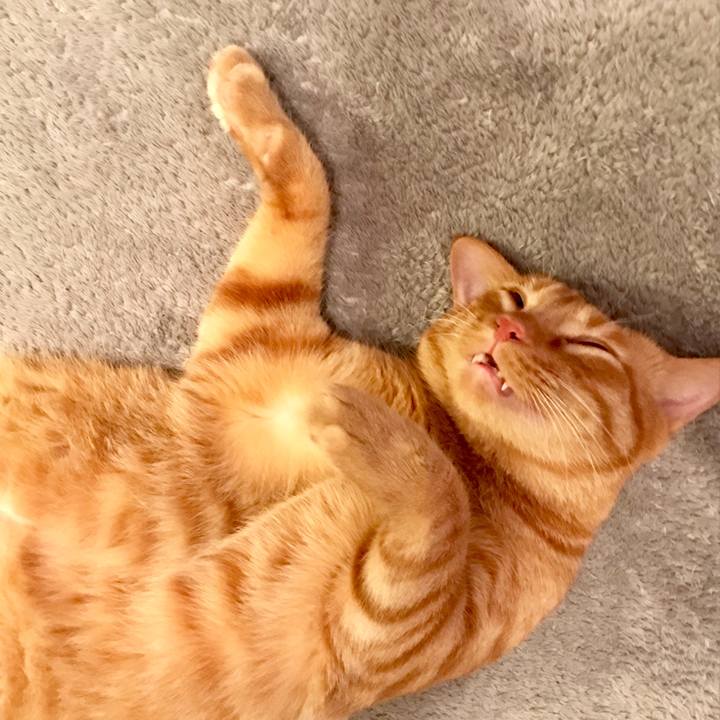 F72e215e 1675 4752 a77c c1777bc57a59 1597834244358