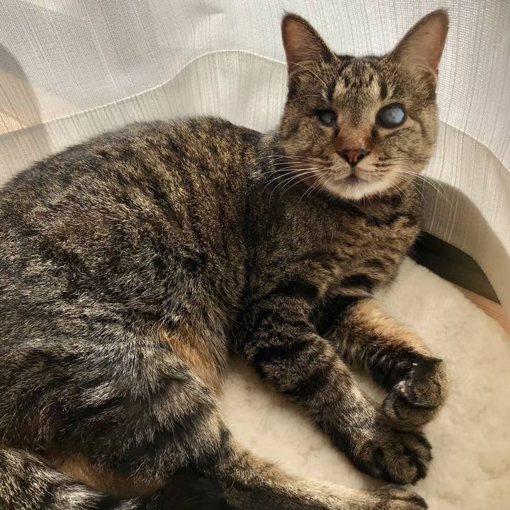 F72e314c df11 4c23 85d2 85ddb9c8dda1 1608020306521