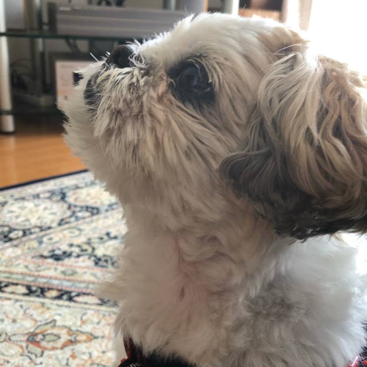 F72e3c20 eac7 4cf9 9761 a593ac33a3ef 1588196868421