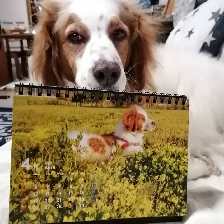 F72e55f7 f4cc 47d4 af76 b07c81749c7a 1617239161155