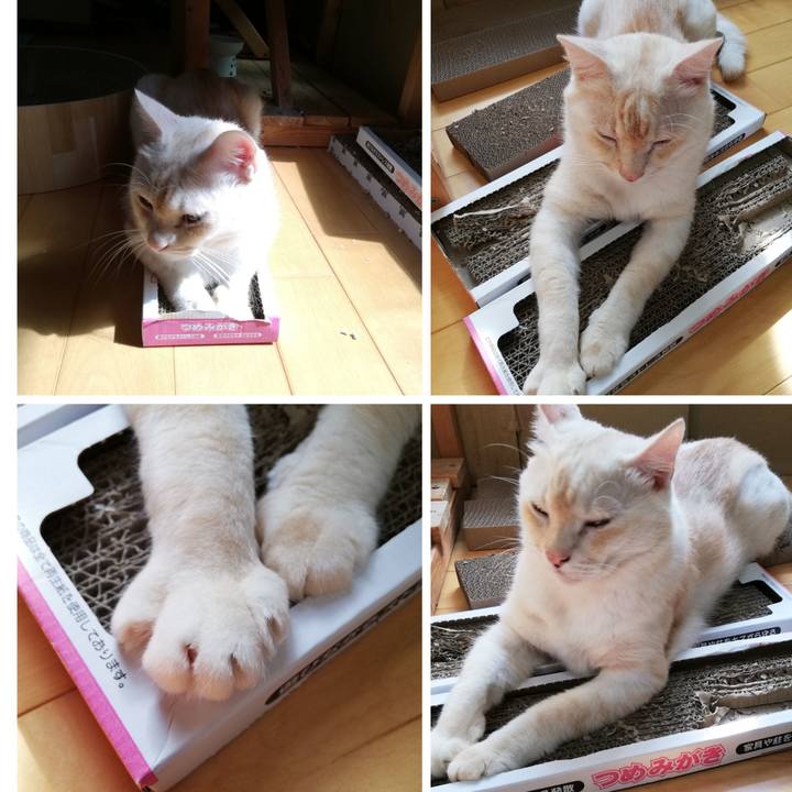 F72eb630 5ec8 4b5a 9d0a b7306f17857e 1727517755560