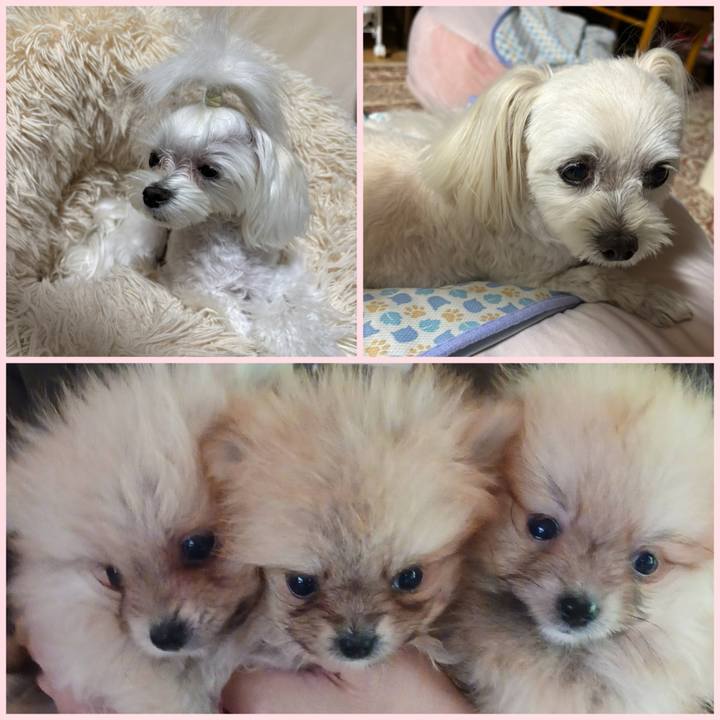 F72eddea 1150 45a6 bbbb 252ff01fd88e 1751971377479