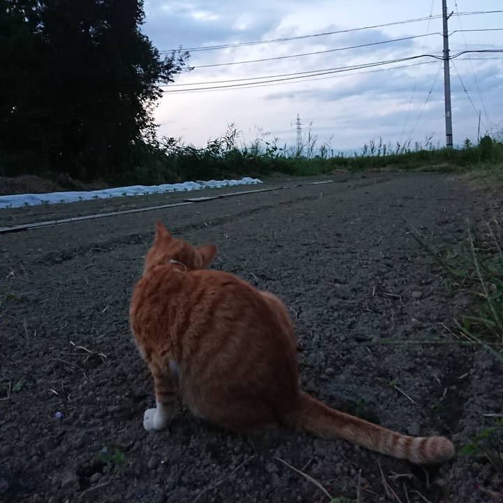 F72edfaf 3cdf 4686 97f5 ec018d4c44f6 1567763035261