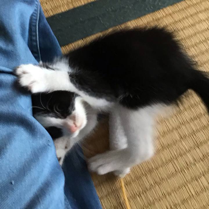 F72ee921 19b8 42ca 839d fa8be1b0f1d5 1623119957196