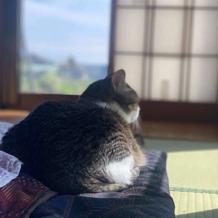 F72f03f0 4441 48f1 9917 f11065813d41 1681693207602