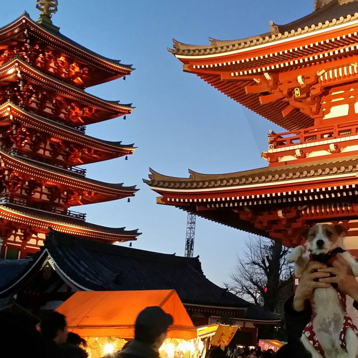 F72f27a7 c9b0 494f 8099 7922422afc5d 1514989639429