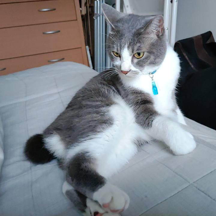 F72f60aa 2952 441b a97b 95d67242c5e6 1655330038952