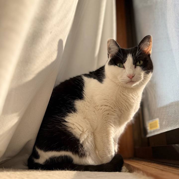 F72f6147 f6c3 404e 9e2c ee3579398ada 1770340867296