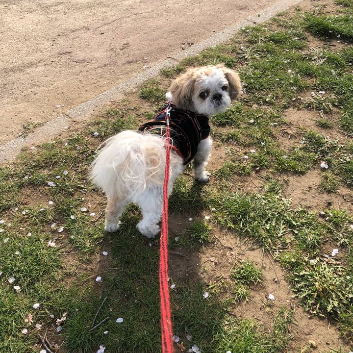 F72f68f2 e26b 44eb b6e5 7d41dd106750 1617054827799