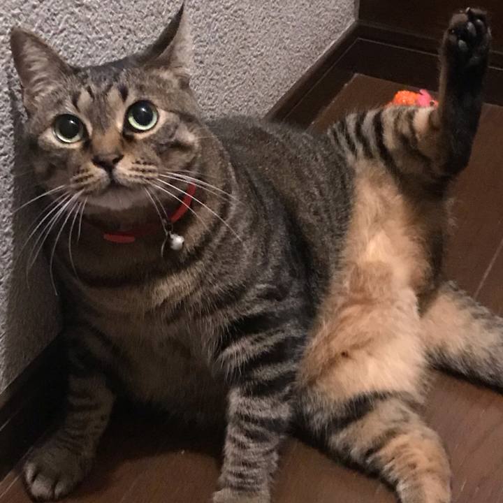 F72f9f39 b2cc 460c 9906 ab047b24255a 1557841332124